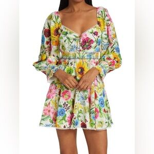 Alice and Olivia Dress